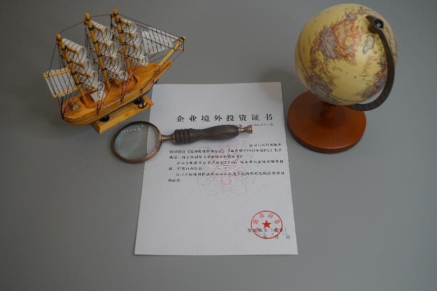企業(yè)境外投資